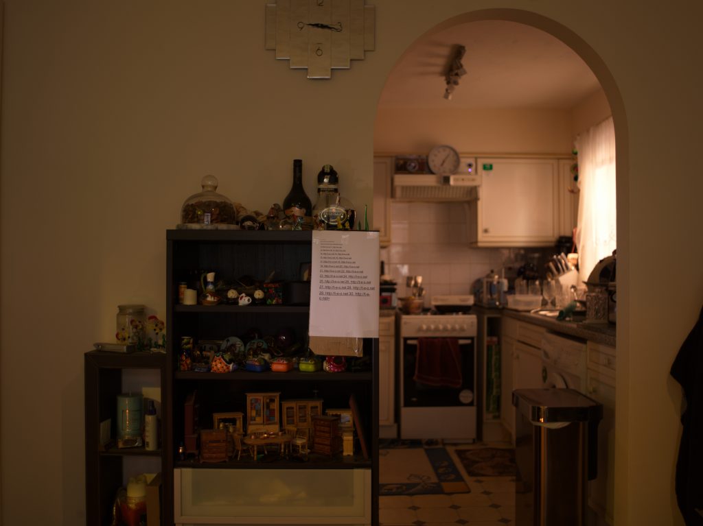 Harblei Tilt Shift 45mm f3.5 MF