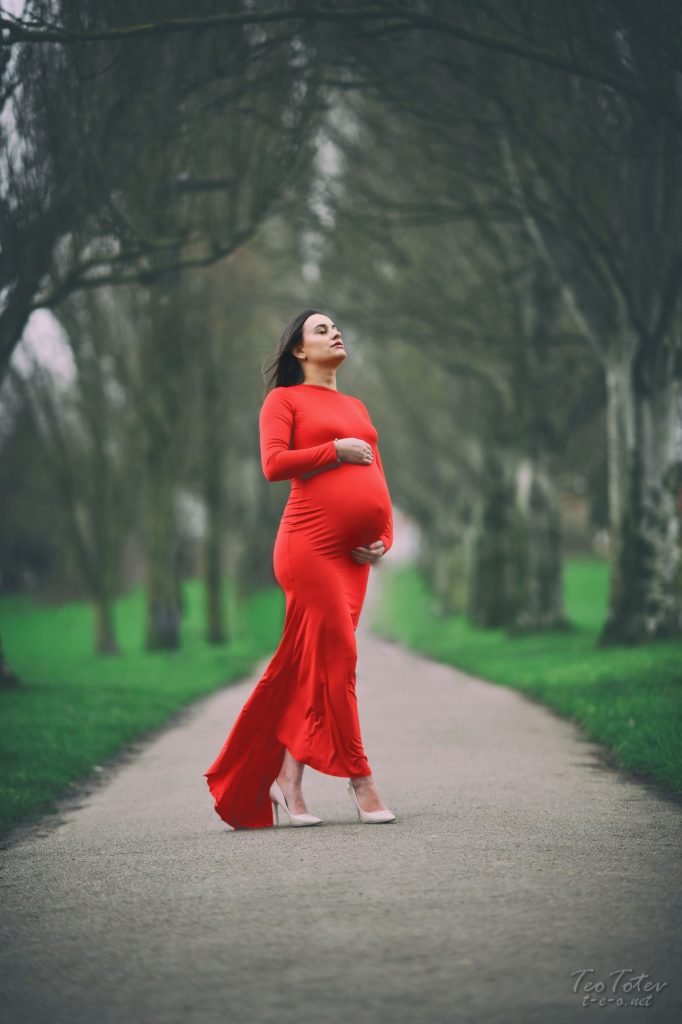 Maternity Photoshoot, Elegant Classy Dress Gown  Girl maternity pictures,  Maternity studio photoshoot, Couple pregnancy photoshoot