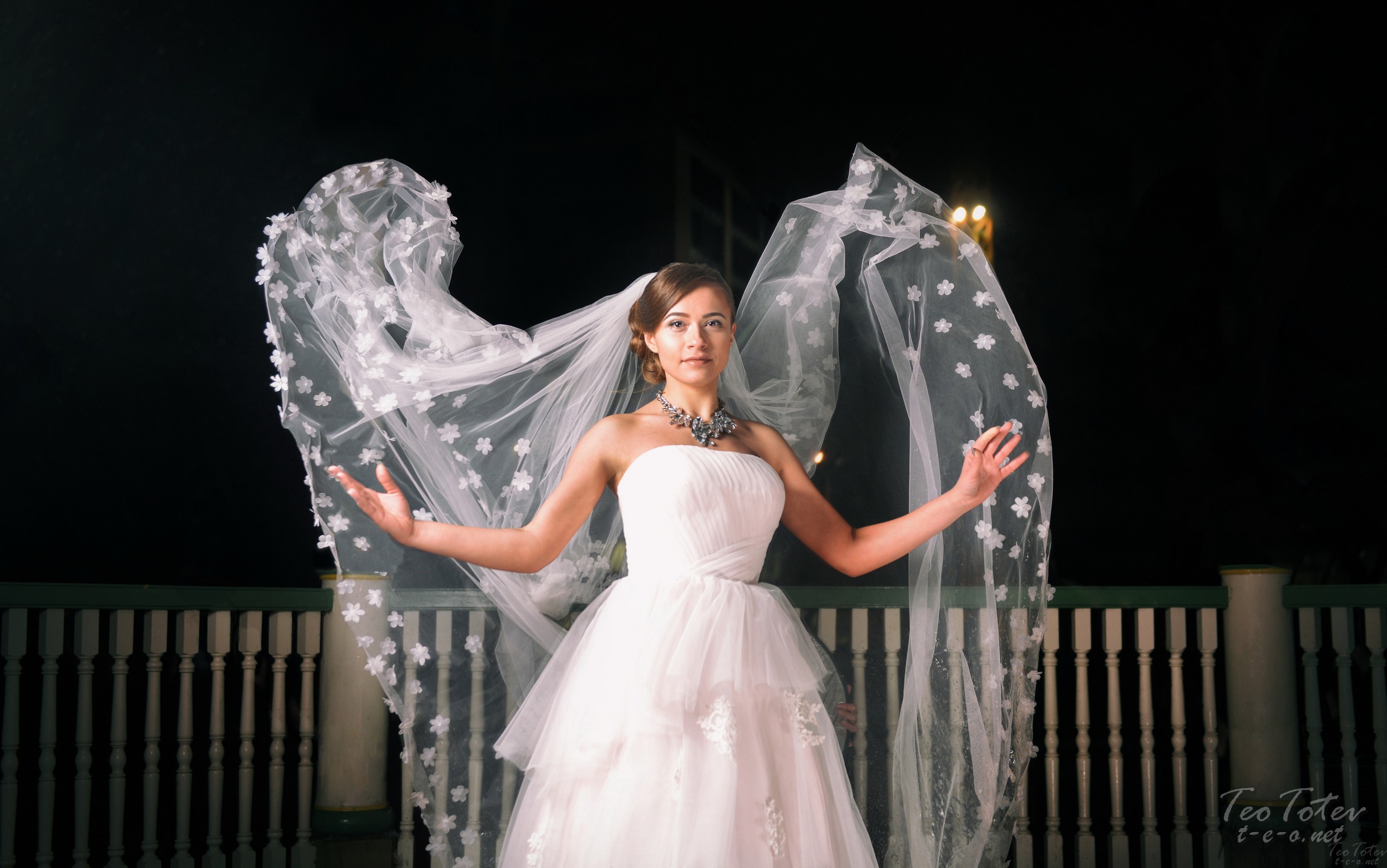 Master Wedding Photographer London