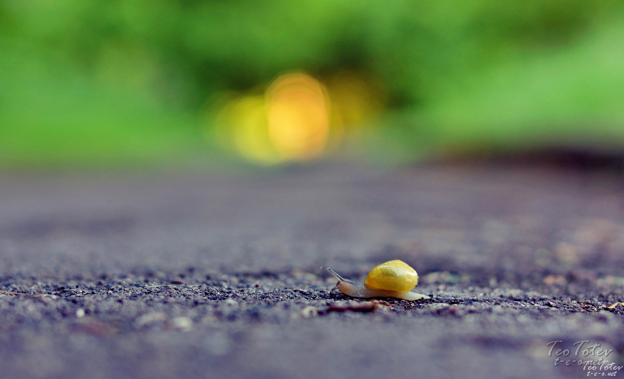 wildlife photography exhibition london