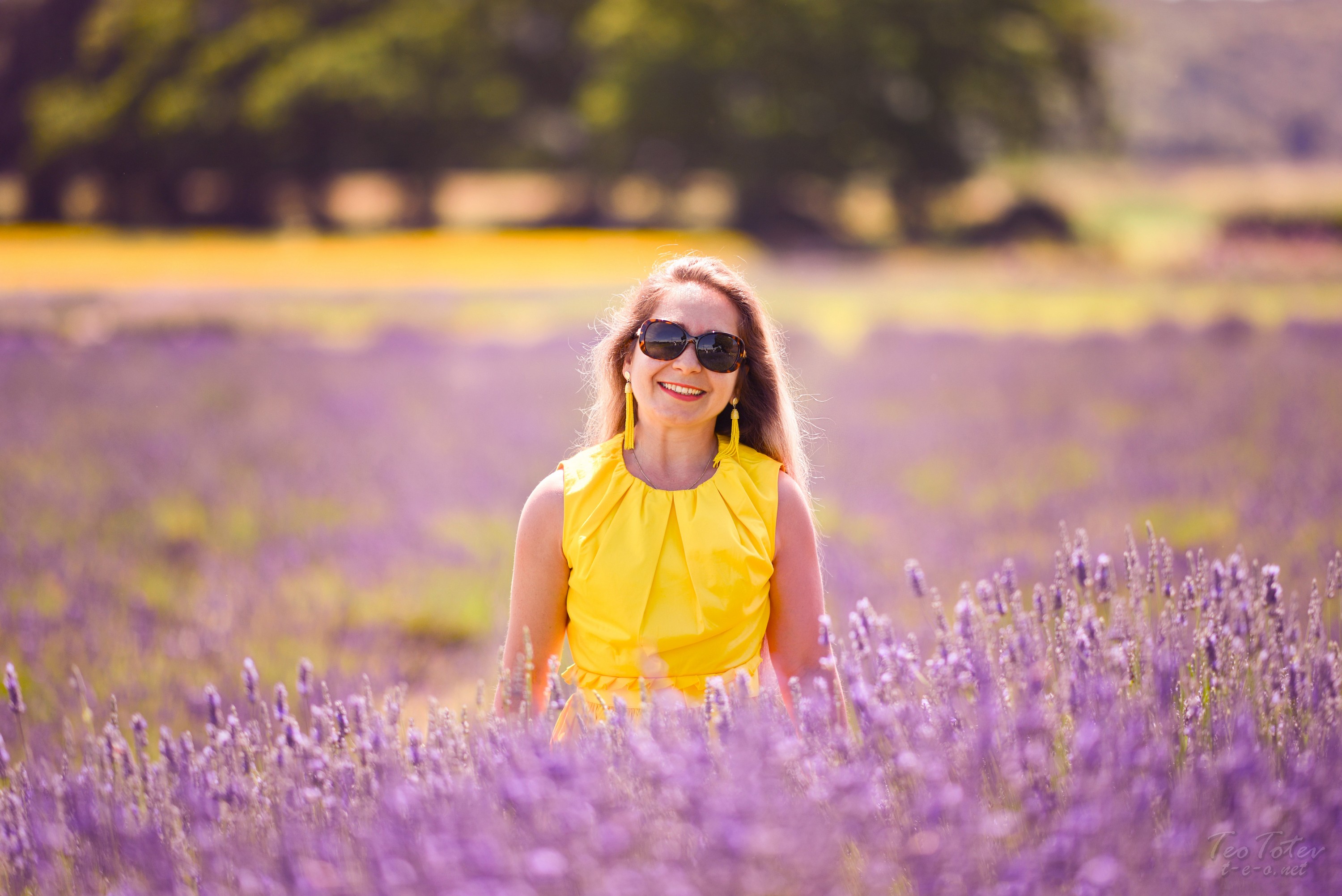Lavender Field Pics
