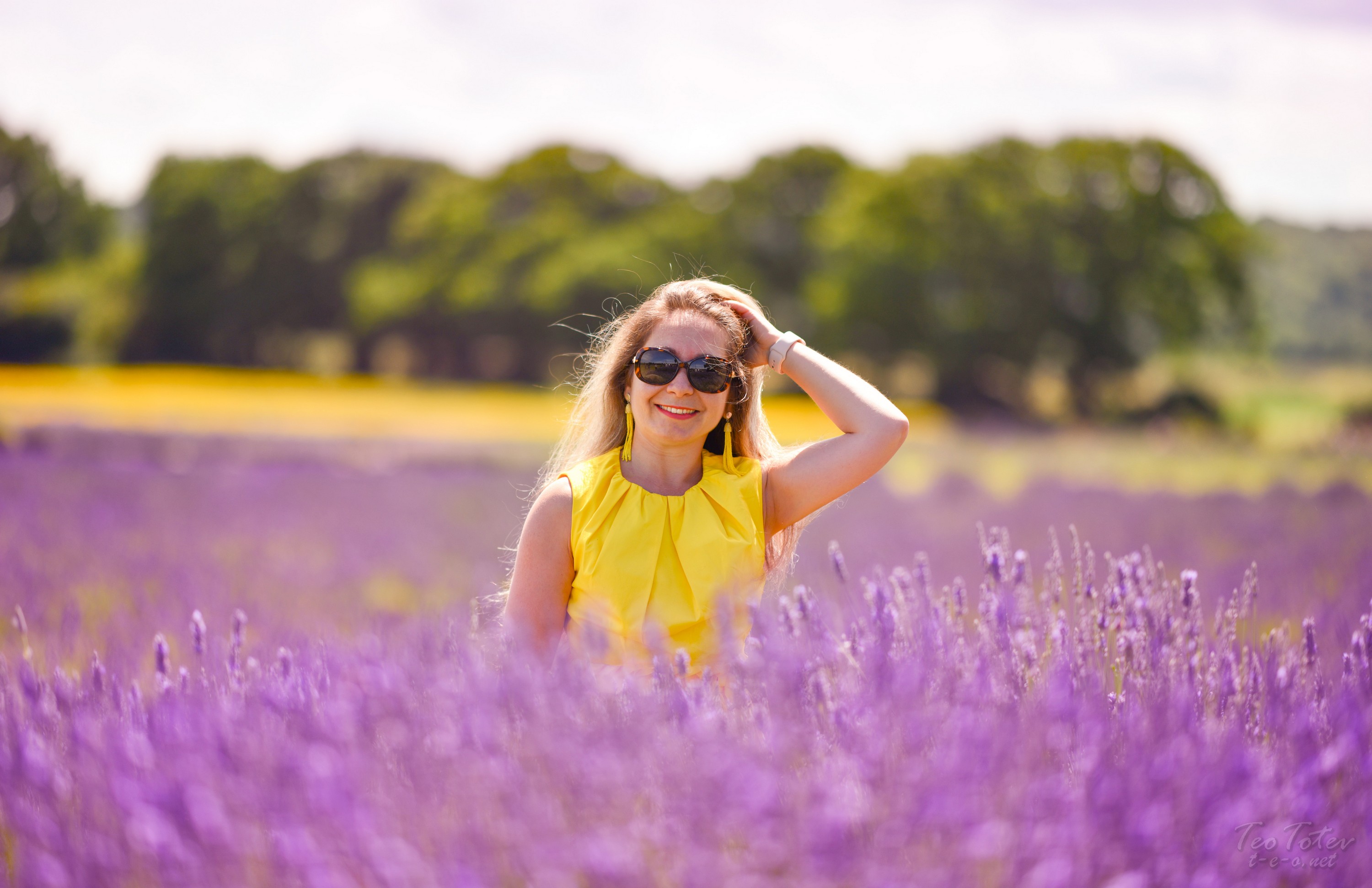 Lavender Fields Art Photography