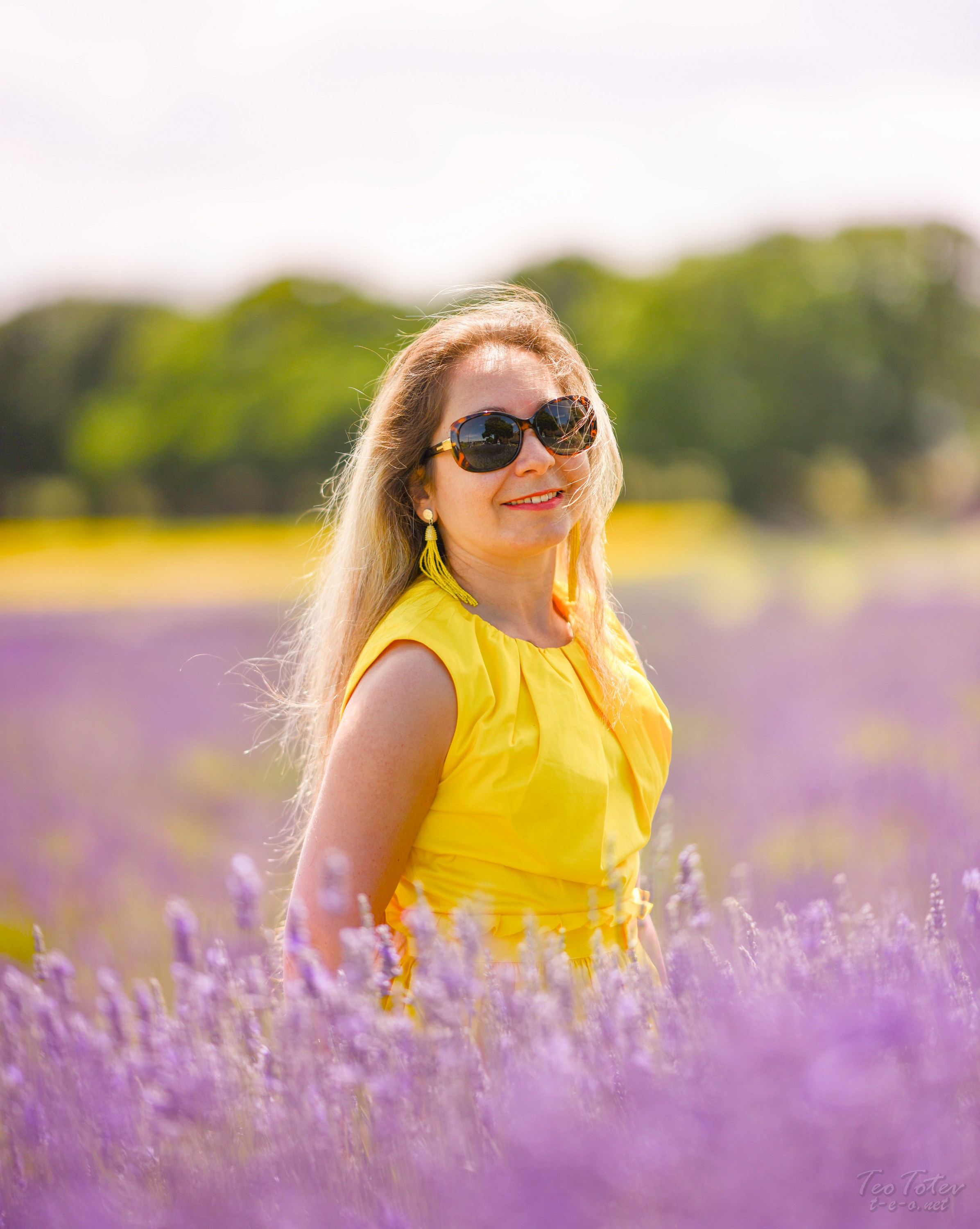 Lavender Fields Photographer