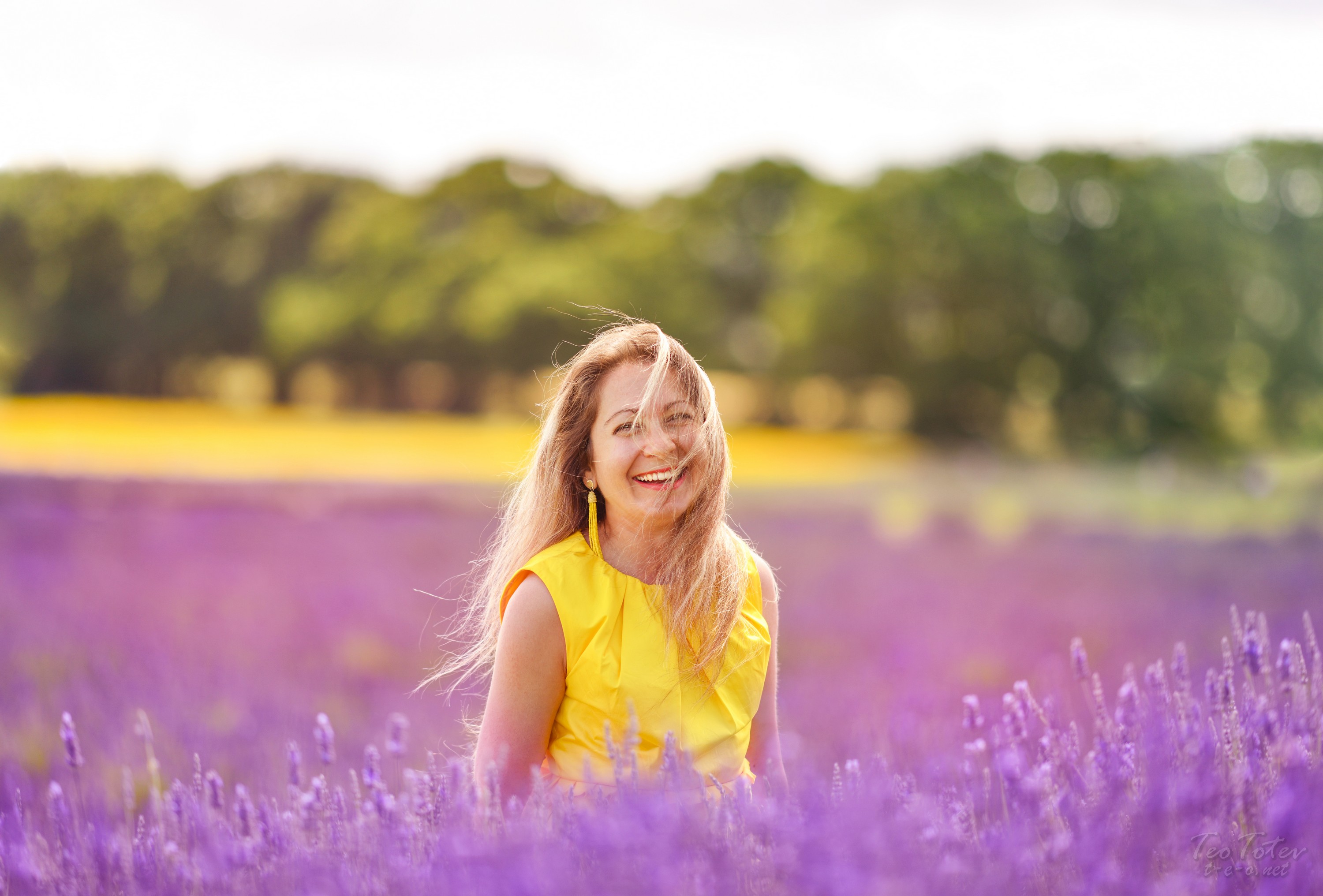 Lavender Fields Pictures