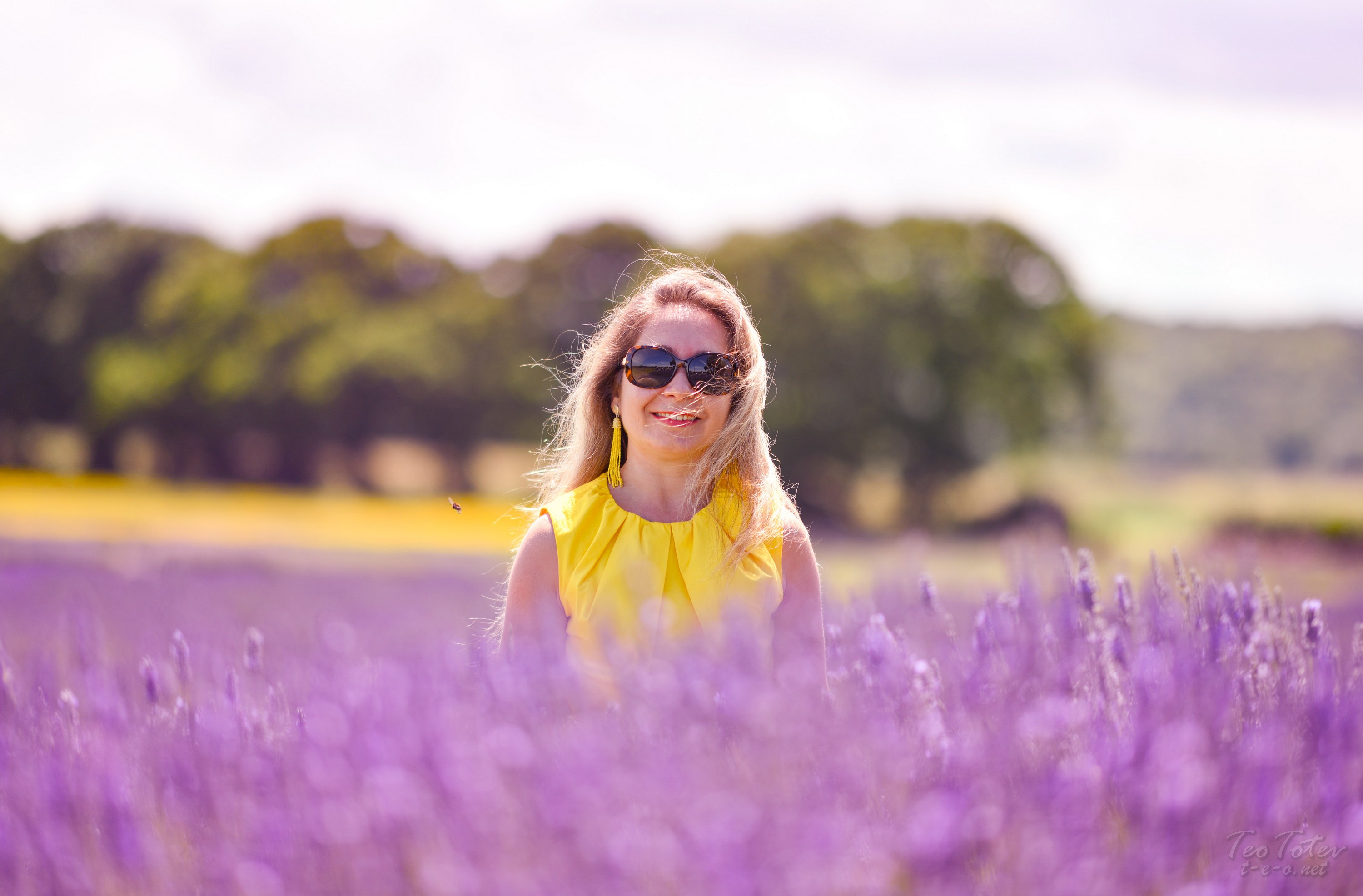 Lavender Photo Shoot