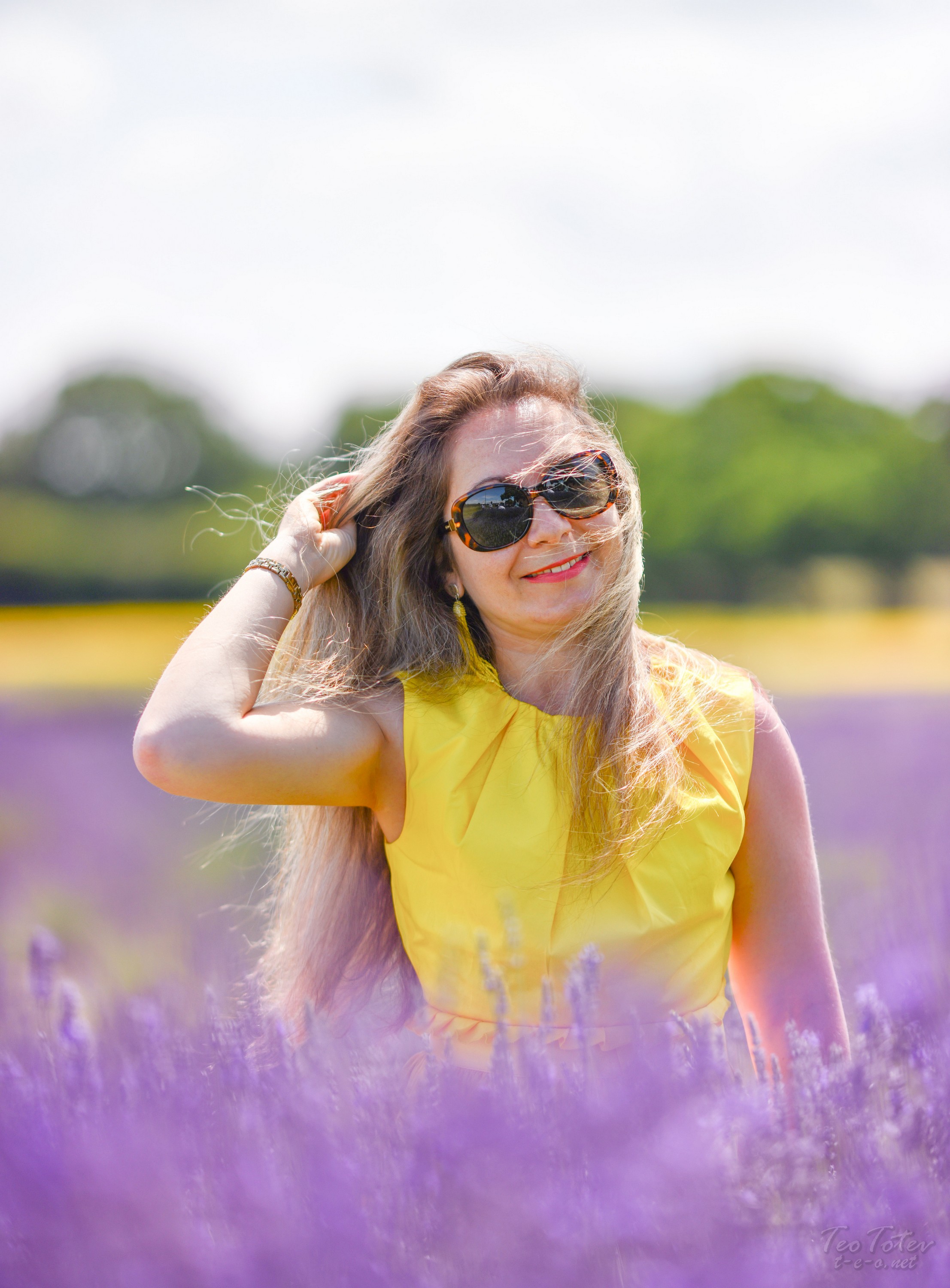 Lavender Photographer