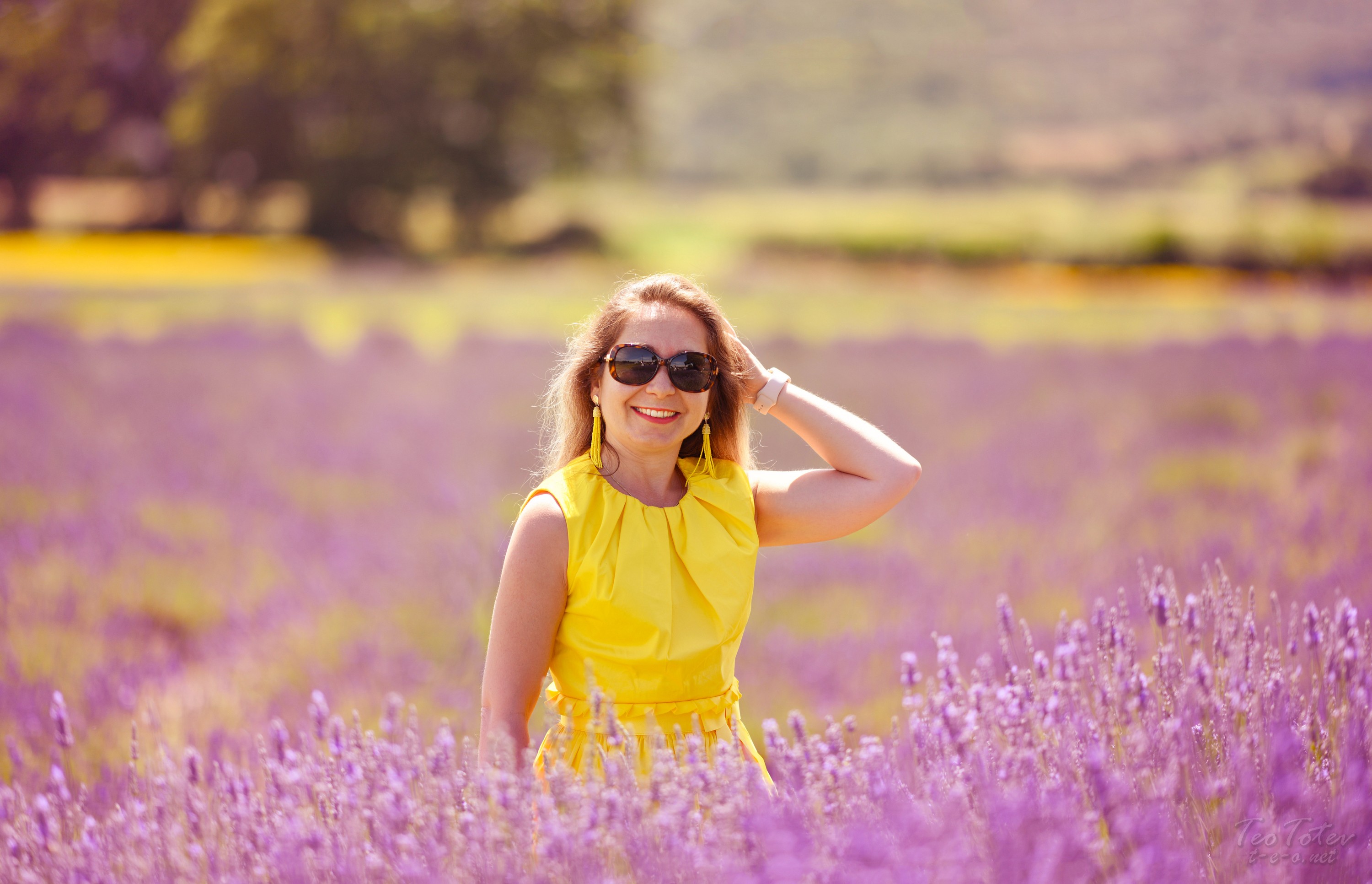 Lavender fields photography