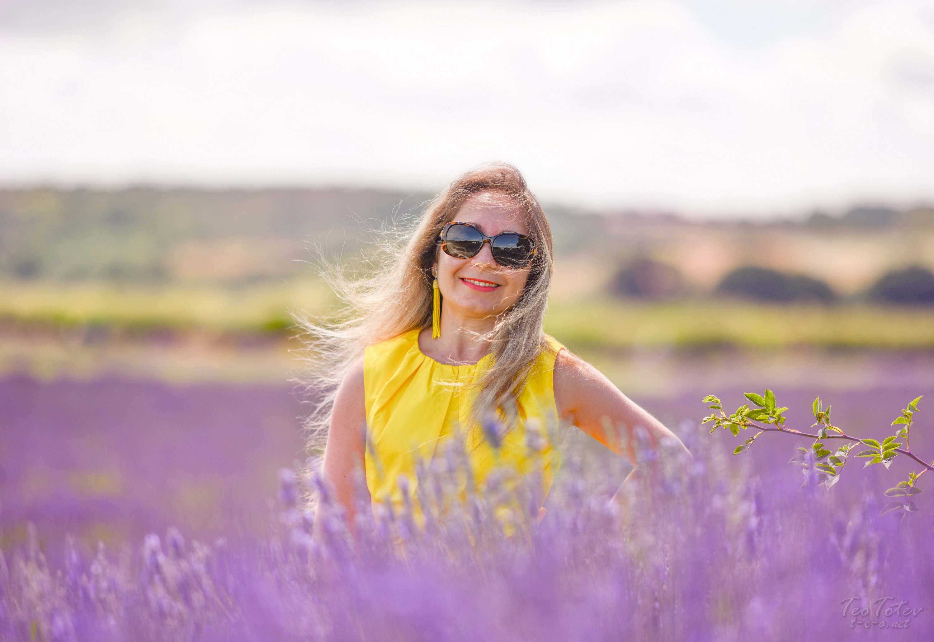 Sensation Lavender Photoshoot