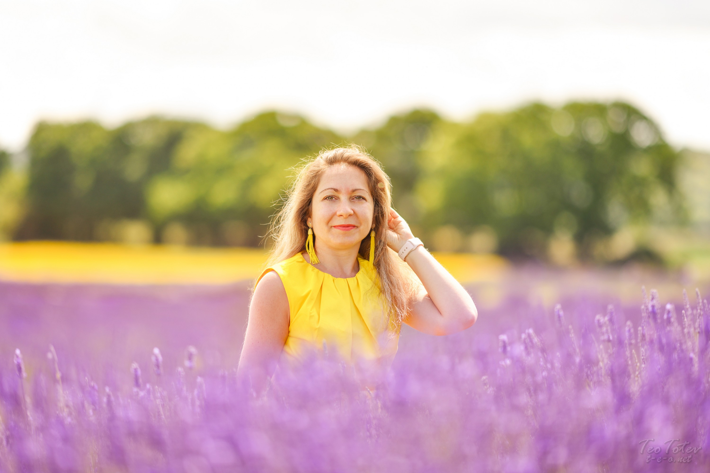 lavender field london