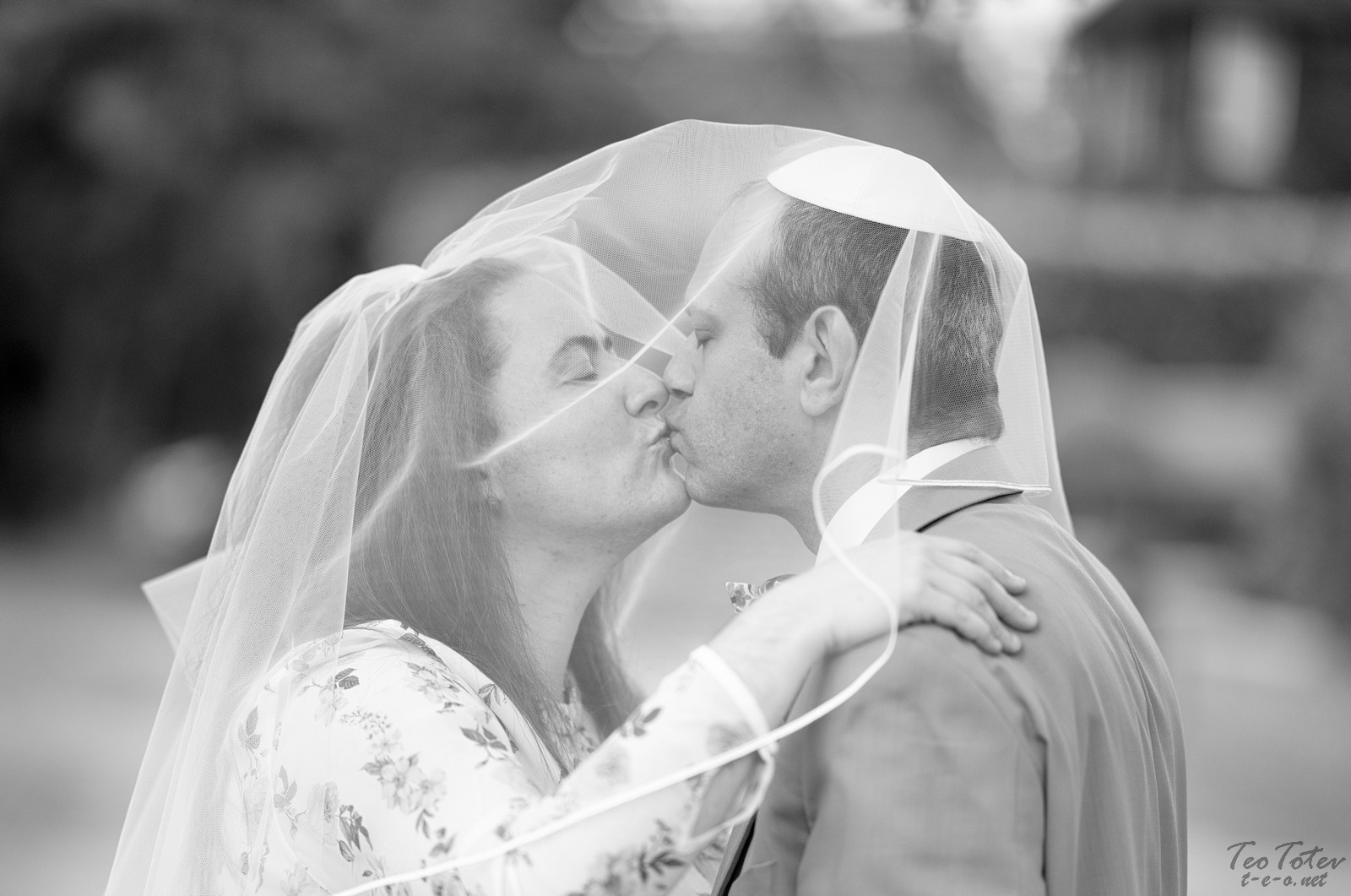 Newlyweds Under Veil Kiss